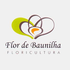 flor de baunilha